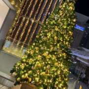 ヒメ日記 2024/12/17 15:43 投稿 ジュリ Club 妻