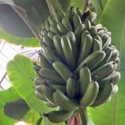 ヒメ日記 2025/01/06 14:28 投稿 ジュリ Club 妻