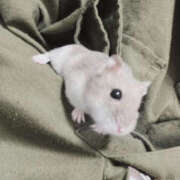 ヒメ日記 2025/02/28 15:19 投稿 ジュリ Club 妻