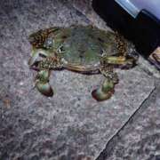 ヒメ日記 2025/05/07 15:48 投稿 ジュリ Club 妻