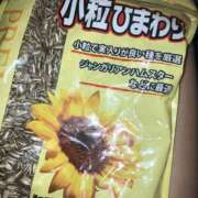 ヒメ日記 2025/06/04 15:43 投稿 ジュリ Club 妻