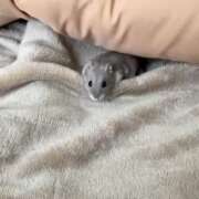 ヒメ日記 2025/07/07 16:03 投稿 ジュリ Club 妻