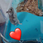 ヒメ日記 2025/11/11 21:22 投稿 ジュリ Club 妻