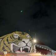 ヒメ日記 2025/11/16 18:50 投稿 ジュリ Club 妻