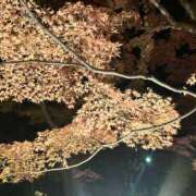 ヒメ日記 2025/11/24 16:38 投稿 ジュリ Club 妻