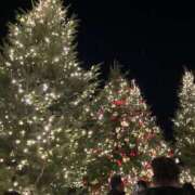 ジュリ 本日17時〜出勤♡ Club 妻