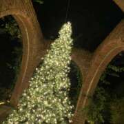 ヒメ日記 2025/12/11 07:09 投稿 ジュリ Club 妻