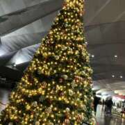 ヒメ日記 2025/12/16 15:10 投稿 ジュリ Club 妻