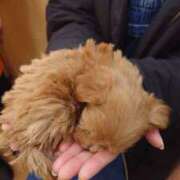 ヒメ日記 2026/01/02 12:18 投稿 ジュリ Club 妻