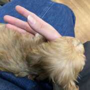 ヒメ日記 2026/01/08 17:01 投稿 ジュリ Club 妻