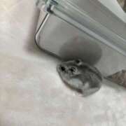 ヒメ日記 2026/02/09 16:02 投稿 ジュリ Club 妻