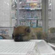 ヒメ日記 2026/03/28 17:31 投稿 ジュリ Club 妻