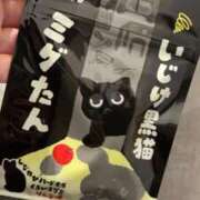 ヒメ日記 2025/02/18 16:22 投稿 榎本　すみれ YUDEN〜油殿〜谷九・日本橋店