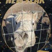 ヒメ日記 2026/01/03 21:48 投稿 なぎさ 脱がされたい人妻 熊谷店