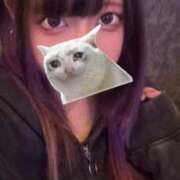 ヒメ日記 2026/03/13 11:49 投稿 きら 素人ぽちゃカワ学園