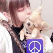 ヒメ日記 2026/04/09 15:17 投稿 きら 素人ぽちゃカワ学園