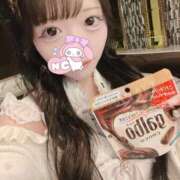 ルリ よてい きらめけ！にゃんにゃん学園in大宮