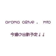 ヒメ日記 2025/01/06 03:10 投稿 みお Aroma Olive ～アロマオリーブ～