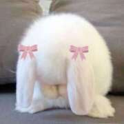 ヒメ日記 2025/01/31 01:20 投稿 みお Aroma Olive ～アロマオリーブ～