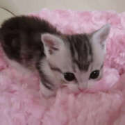 ヒメ日記 2025/02/26 16:10 投稿 みお Aroma Olive ～アロマオリーブ～