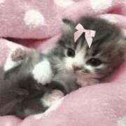 ヒメ日記 2025/03/28 03:50 投稿 みお Aroma Olive ～アロマオリーブ～