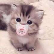 ヒメ日記 2025/04/28 22:30 投稿 みお Aroma Olive ～アロマオリーブ～