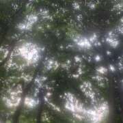 ヒメ日記 2025/05/25 15:50 投稿 みお Aroma Olive ～アロマオリーブ～