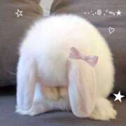 ヒメ日記 2025/05/30 05:00 投稿 みお Aroma Olive ～アロマオリーブ～