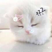 ヒメ日記 2025/08/15 23:30 投稿 みお Aroma Olive ～アロマオリーブ～