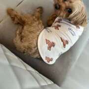 ヒメ日記 2025/07/11 08:50 投稿 桃香ほたる ウルトラセレクション