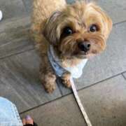 ヒメ日記 2025/07/23 11:50 投稿 桃香ほたる ウルトラセレクション