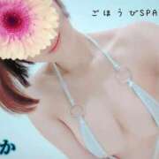 ヒメ日記 2025/06/18 04:12 投稿 りか ごほうびSPA 大阪店