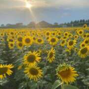 ヒメ日記 2025/08/23 09:01 投稿 Konoha ワンカラット～人妻の輝き～