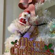 Konoha 最近、ホッとしてますか？?? ワンカラット～人妻の輝き～