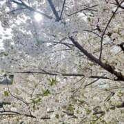 ヒメ日記 2026/04/06 17:29 投稿 Konoha ワンカラット～人妻の輝き～