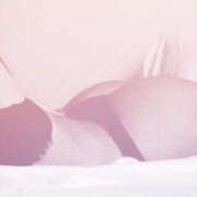 ヒメ日記 2025/01/22 09:30 投稿 りょう ぺろぺろベロベロ専科 ぺろんちょ