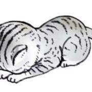 ヒメ日記 2025/07/30 19:22 投稿 あおい 錦糸町ちゃんこ