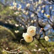 ヒメ日記 2025/02/13 21:15 投稿 ゆるり バイオレンス