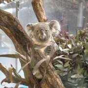 ヒメ日記 2025/02/26 10:45 投稿 ゆるり バイオレンス