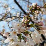 ヒメ日記 2025/03/27 22:55 投稿 ゆるり バイオレンス