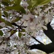 ヒメ日記 2025/04/02 01:46 投稿 ゆるり バイオレンス