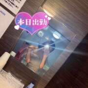 ヒメ日記 2025/04/04 09:35 投稿 ゆるり バイオレンス