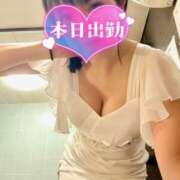 ヒメ日記 2025/04/13 17:45 投稿 ゆるり バイオレンス