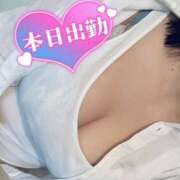 ヒメ日記 2025/06/15 07:45 投稿 ゆるり バイオレンス