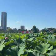 ヒメ日記 2025/08/14 13:55 投稿 ゆるり バイオレンス