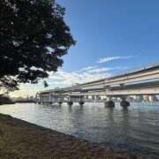 ヒメ日記 2025/11/15 13:05 投稿 ゆるり バイオレンス