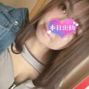 ヒメ日記 2026/03/25 09:55 投稿 ゆるり バイオレンス