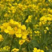 ヒメ日記 2026/04/17 14:55 投稿 ゆるり バイオレンス