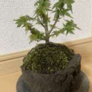 ヒメ日記 2025/04/22 10:55 投稿 あや 谷町人妻ゴールデン倶楽部