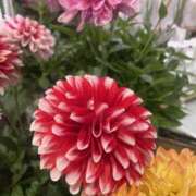 あや ダリア 谷町人妻ゴールデン倶楽部